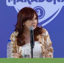 "Luche y Vuelve", el slogan con el que el kirchnerismo busca convencer a Cristina que sea candidata