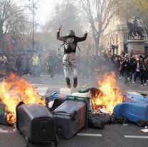 Terror en Francia: manifestantes liberaron a tres leones del Zoo de París en medio de los disturbios