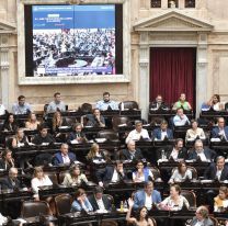 Celebraciones y rechazos tras la aprobación en general de la ley "Bases"