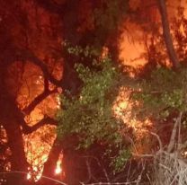 ¿Intencionalidad o negligencia?: buscan a los responsables del incendio en Bariloche