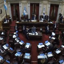 Ley Bases en el Senado: cuáles son sus puntos más importantes