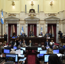 El Gobierno Nacional logró la aprobación en general de la Ley Bases en el Senado