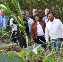 Patricia Bullrich anuncia operativos intensificados en la frontera salteña