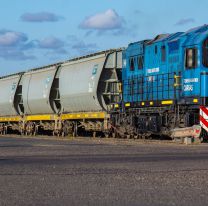 El Gobierno Nacional inicia el proceso de privatización de Belgrano Cargas y Logística