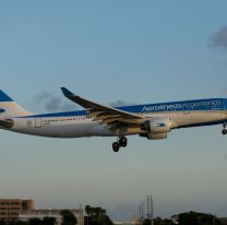 Dos importantes empresas quieren comprar Aerolíneas Argentinas