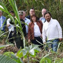 Milei destacó el trabajo del Gobernador de Salta y Patricia Bullrich en el control fronterizo