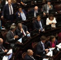 Uno por uno, cómo votó cada senador la suspensión de las PASO