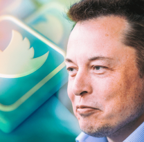 Piden a Elon Musk que devuelva la cuenta de Twitter a Donald Trump