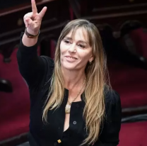 La senadora K que pidió  "un policía en cada cueva"  tiene más de 600 mil dólares ahorrados